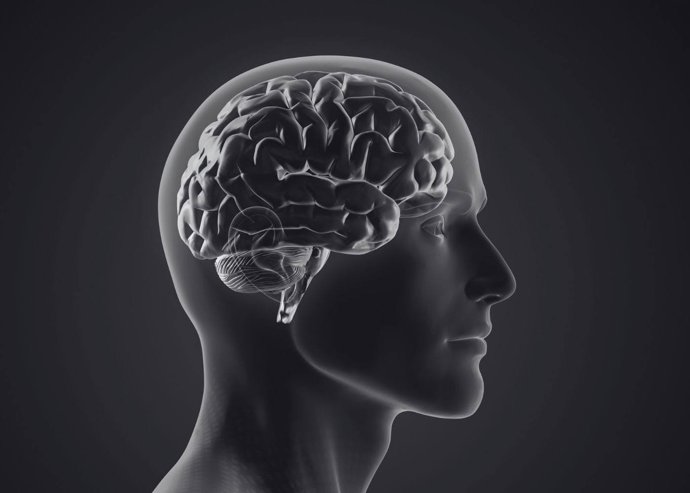 The Science of Flow State: What's Actually Happening in Your Brain