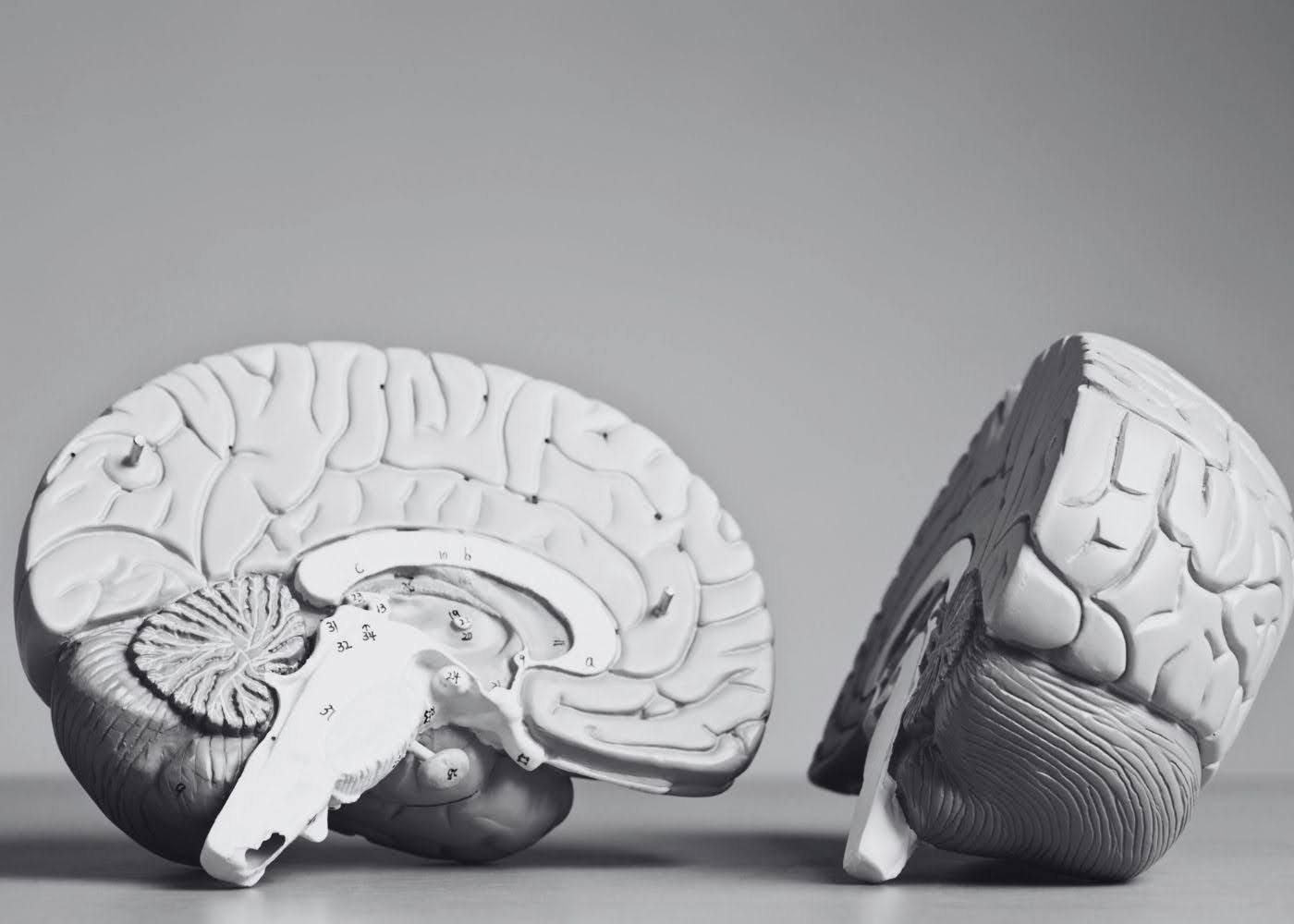 Brain Health Supplements Myths Busted | Omega-3, Memory Booster